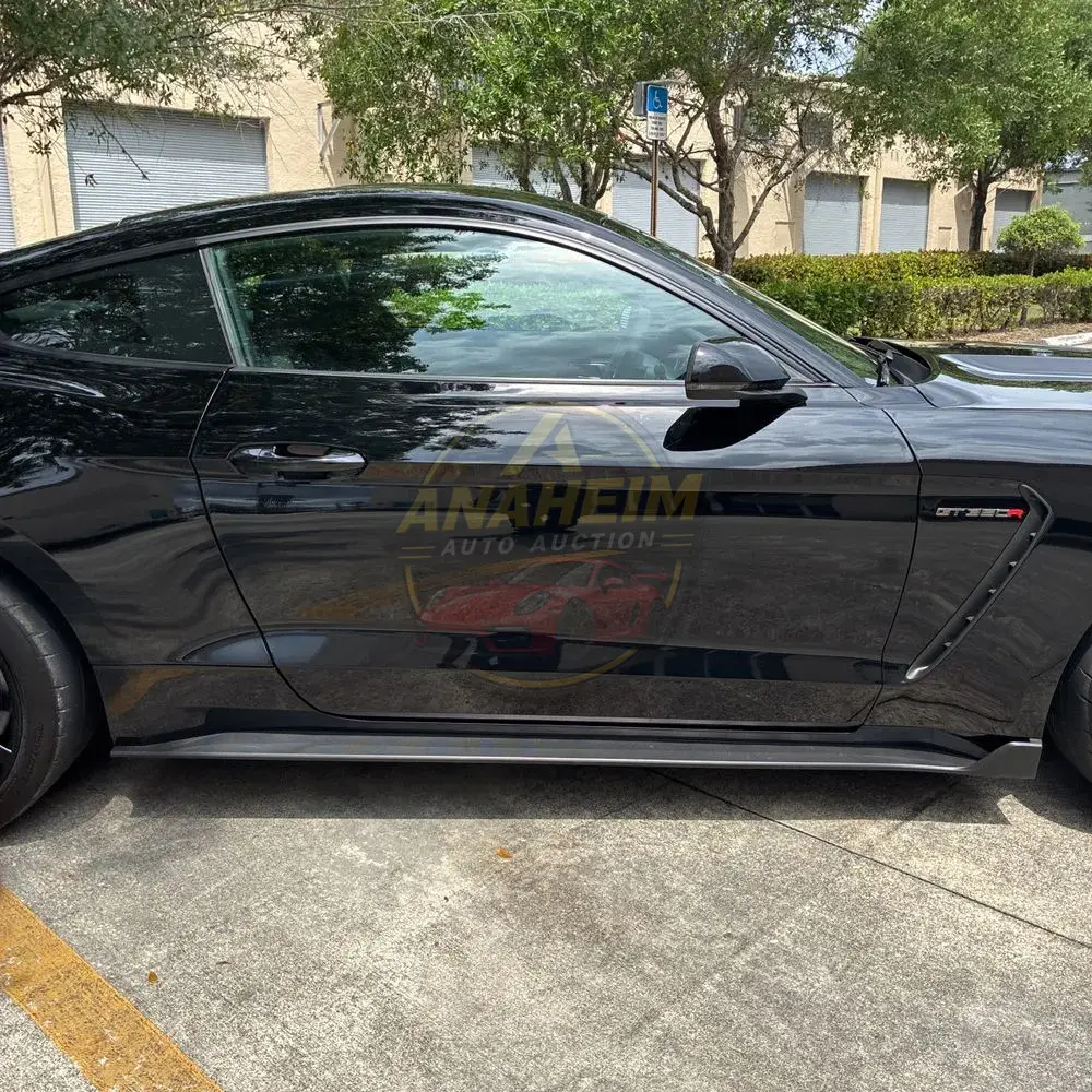 2019 Ford Mustang Shelby GT350R