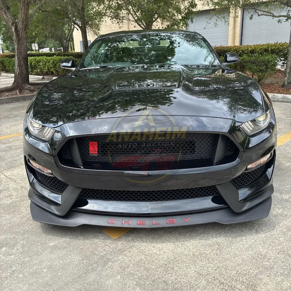 2019 Ford Mustang Shelby GT350R
