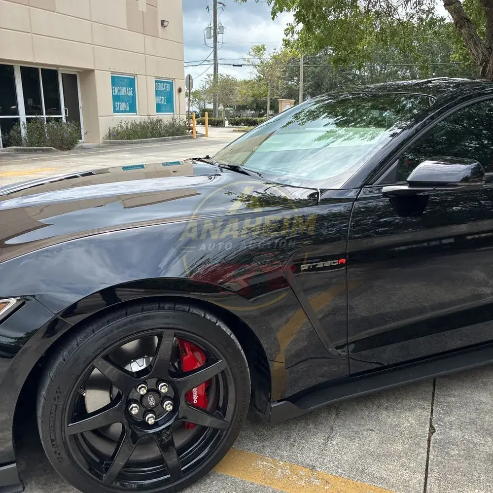 2019 Ford Mustang Shelby GT350R