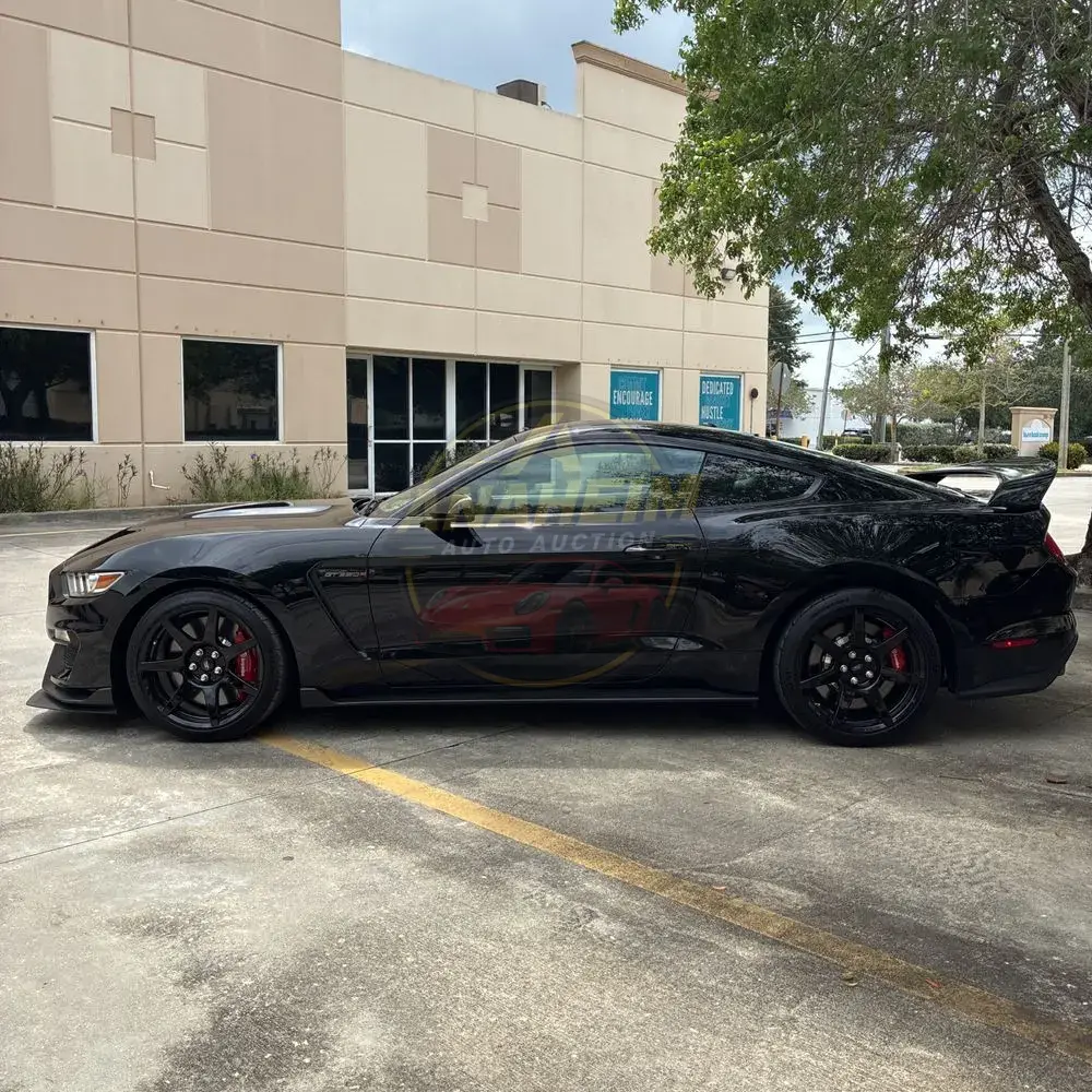 2019 Ford Mustang Shelby GT350R