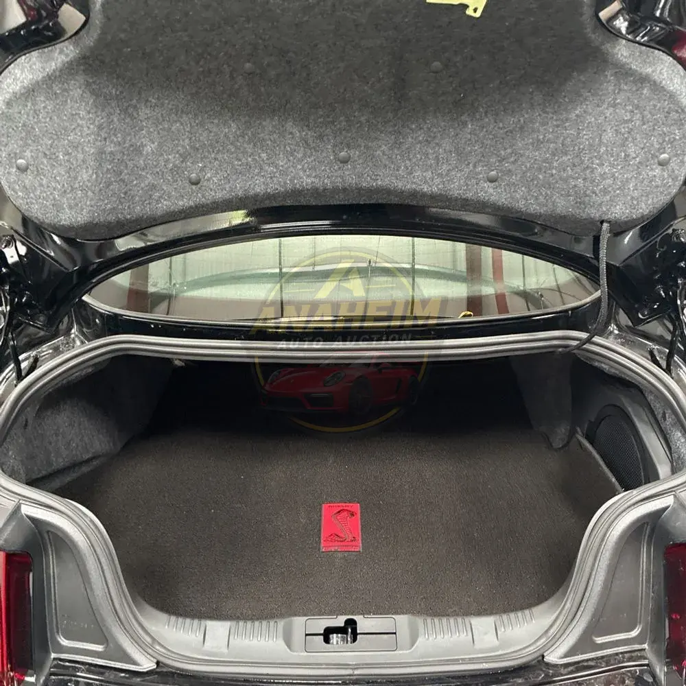2019 Ford Mustang Shelby GT350R