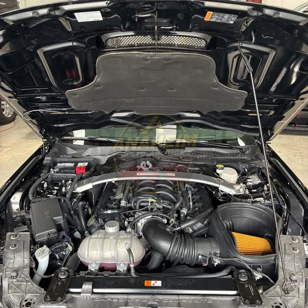 2019 Ford Mustang Shelby GT350R