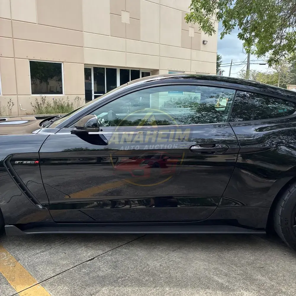 2019 Ford Mustang Shelby GT350R
