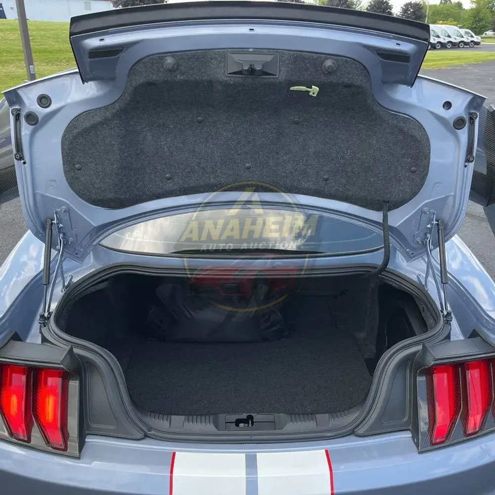 2022 Ford Mustang Shelby GT500