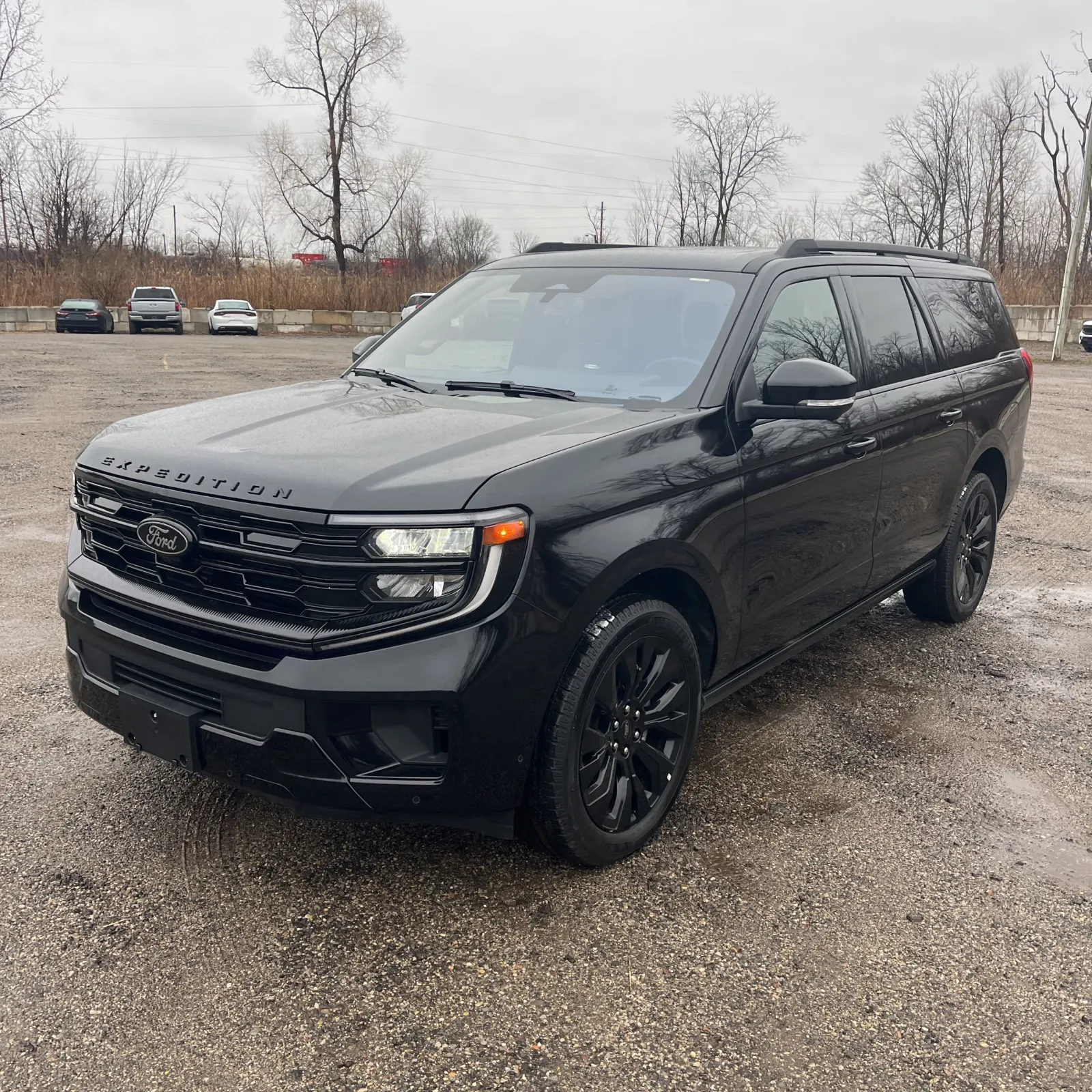 2025 Ford Expedition Max Platinum