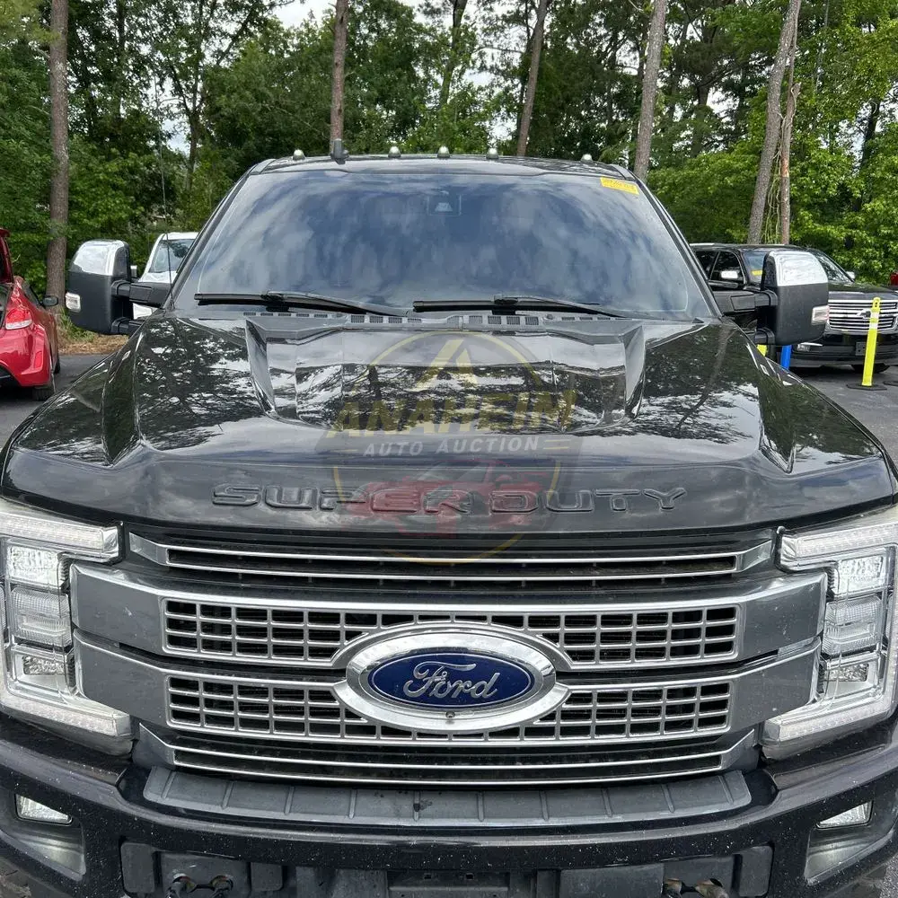 2019 Ford F-250 Platinum