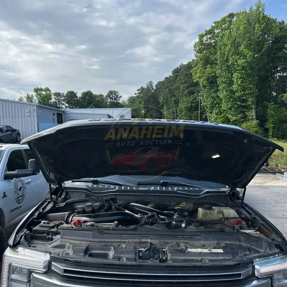 2019 Ford F-250 Platinum