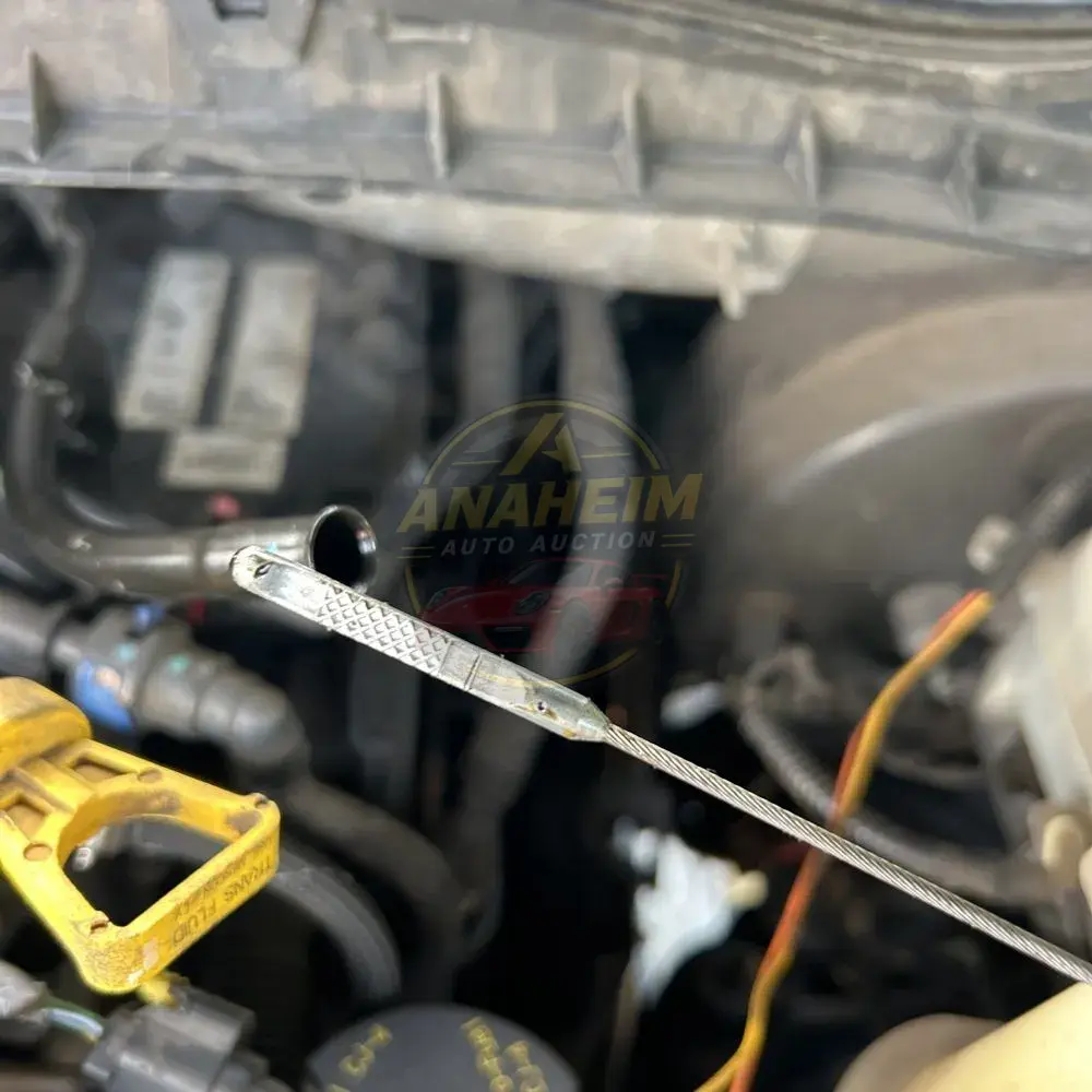 2019 Ford F-250 Platinum