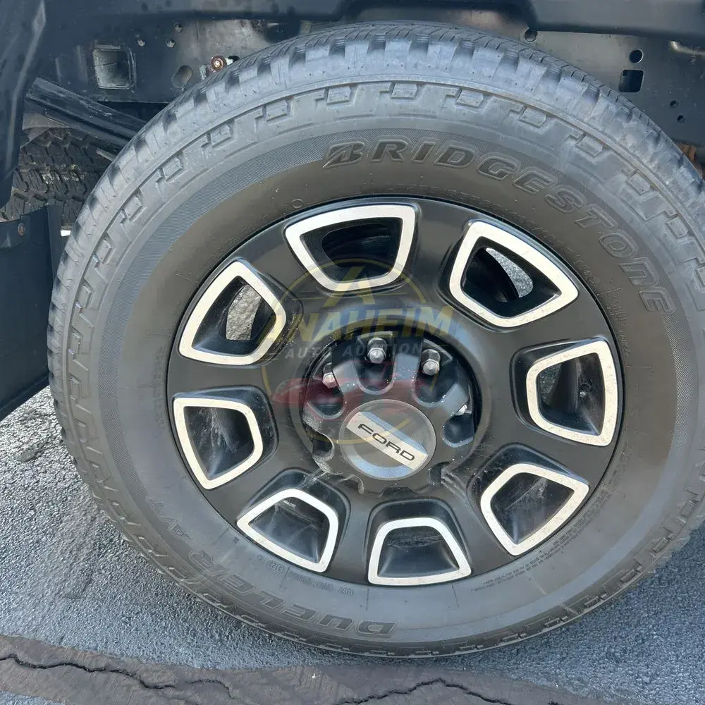 2024 Ford F250 S/D Platinum