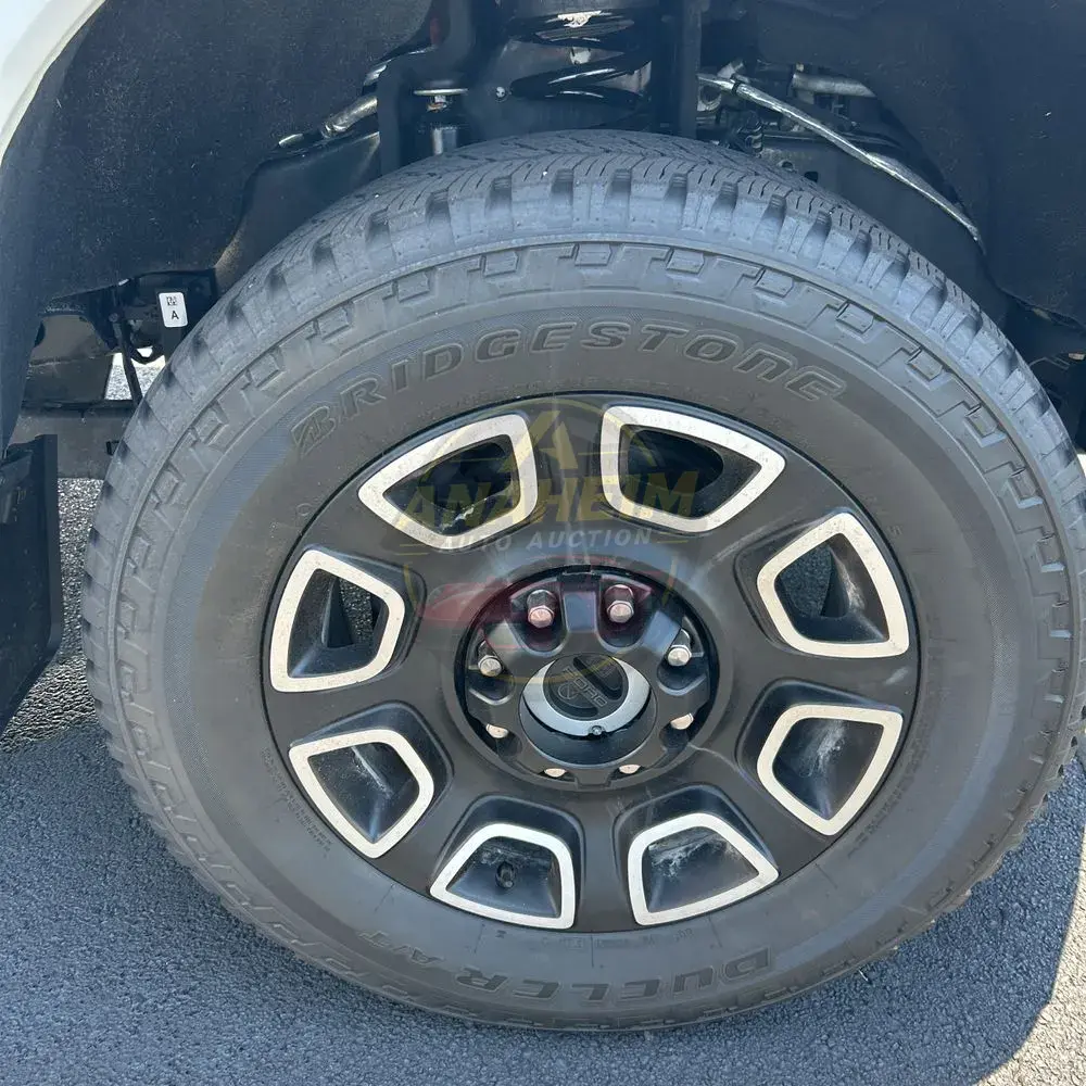2024 Ford F250 S/D Platinum