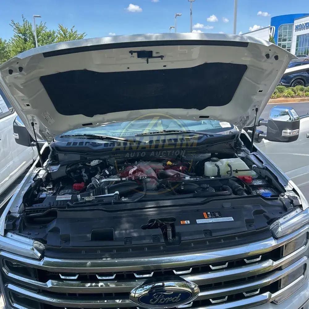 2024 Ford F250 S/D Platinum