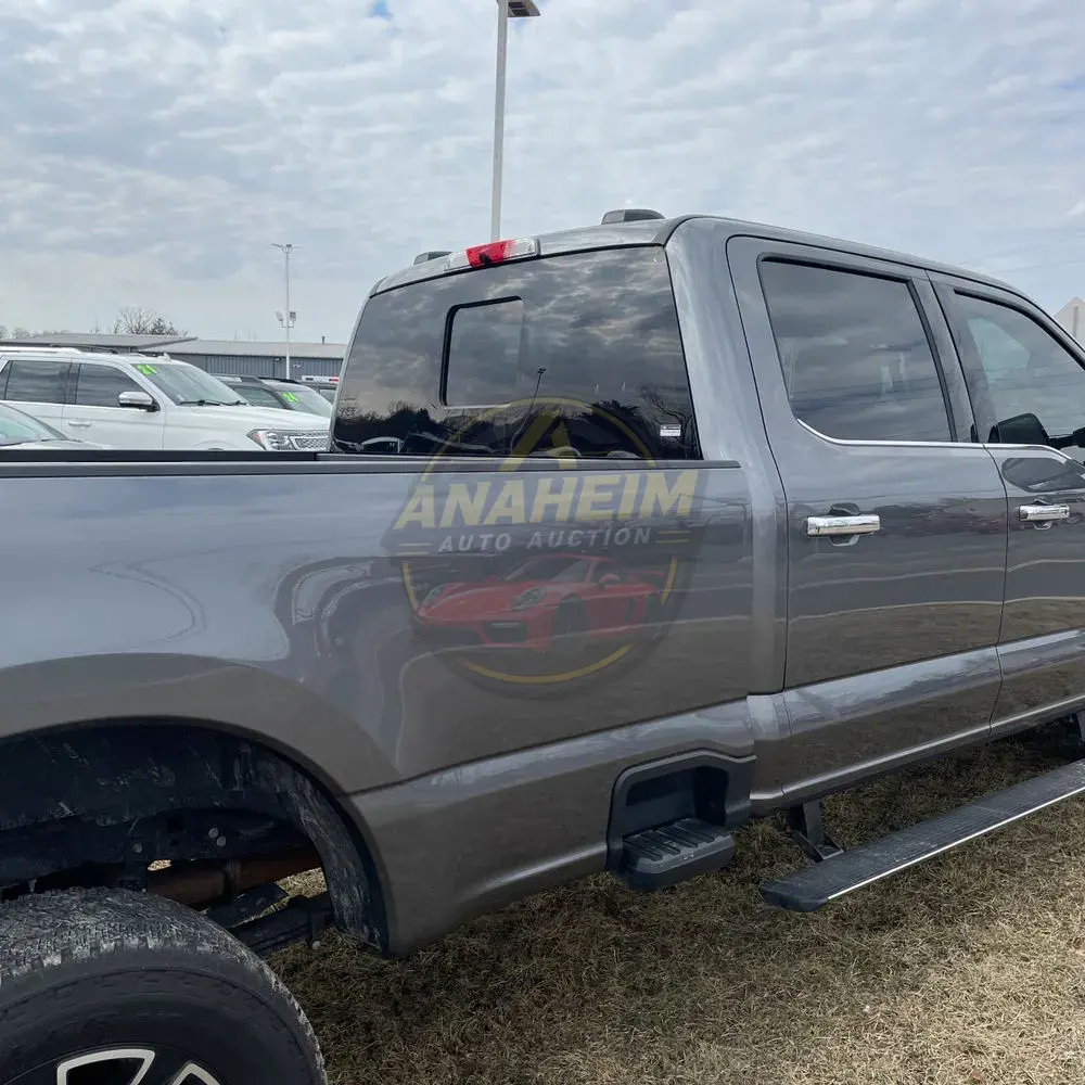 2024 Ford F250 S/D Platinum
