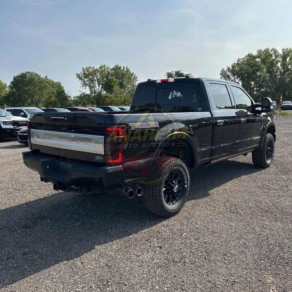 2022 Ford F250 S/D Platinum
