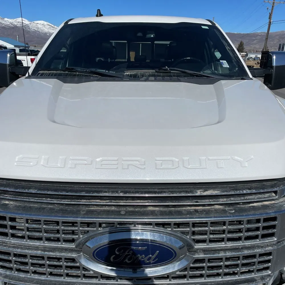 2019 Ford F350 S/D Platinum