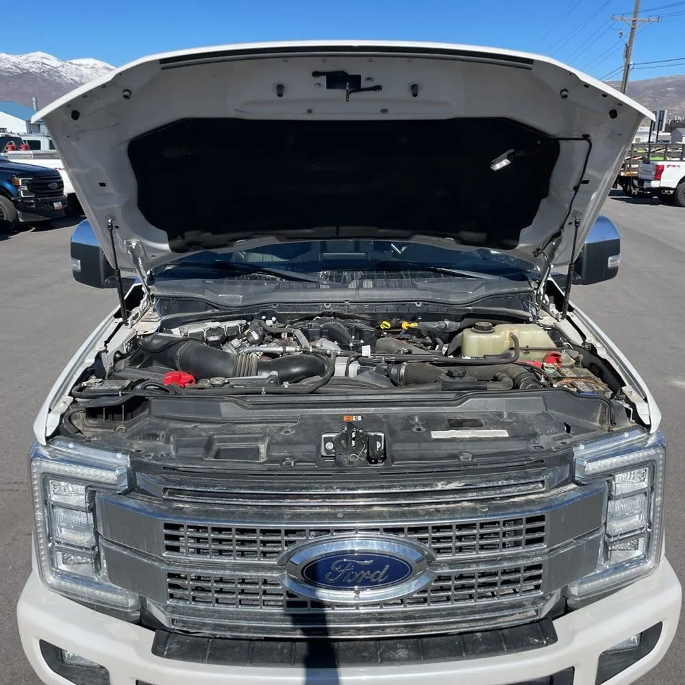 2019 Ford F350 S/D Platinum