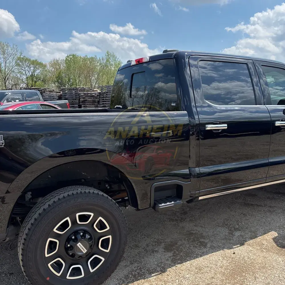 2024 Ford F350 S/D Platinum