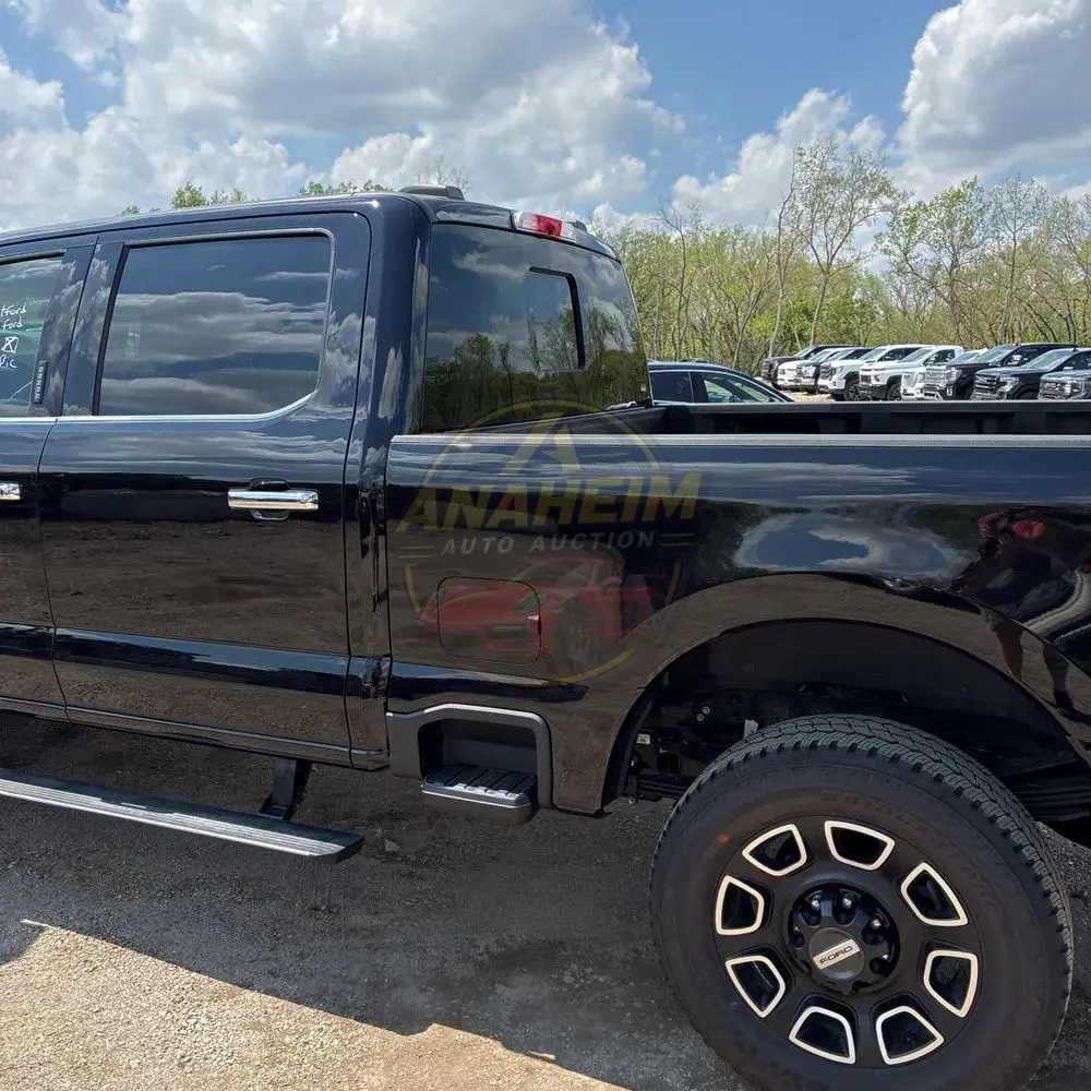 2024 Ford F350 S/D Platinum