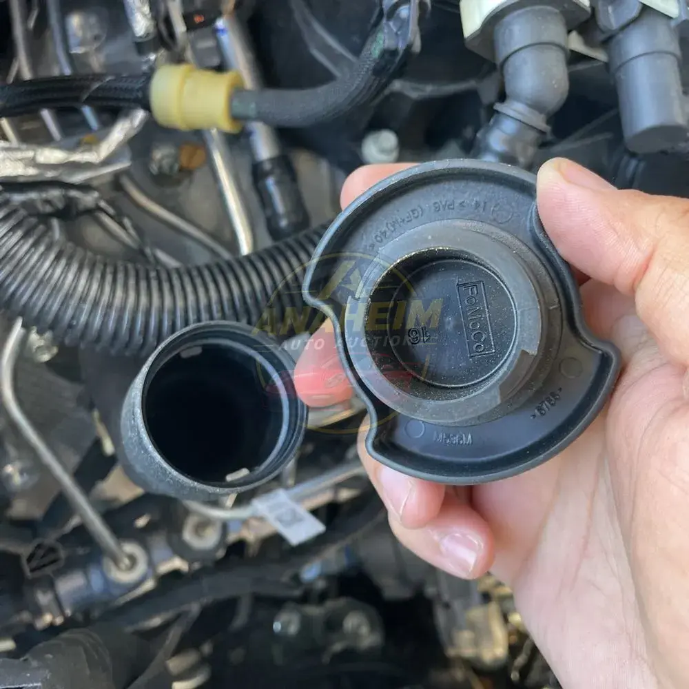 2024 Ford F350 S/D Platinum