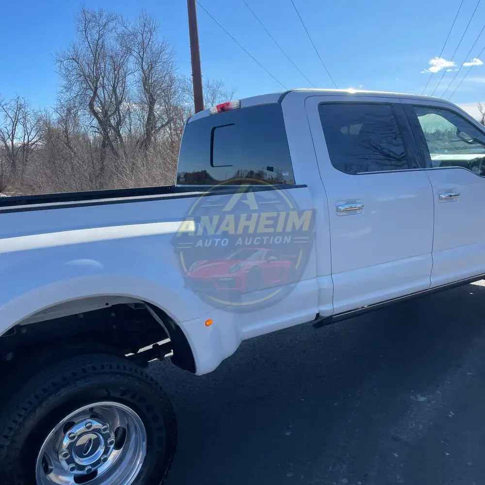 2019 Ford F350 S/D Platinum