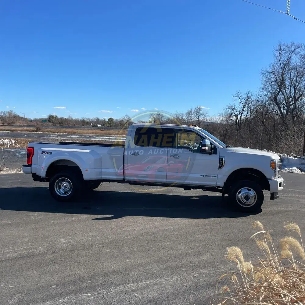 2019 Ford F350 S/D Platinum