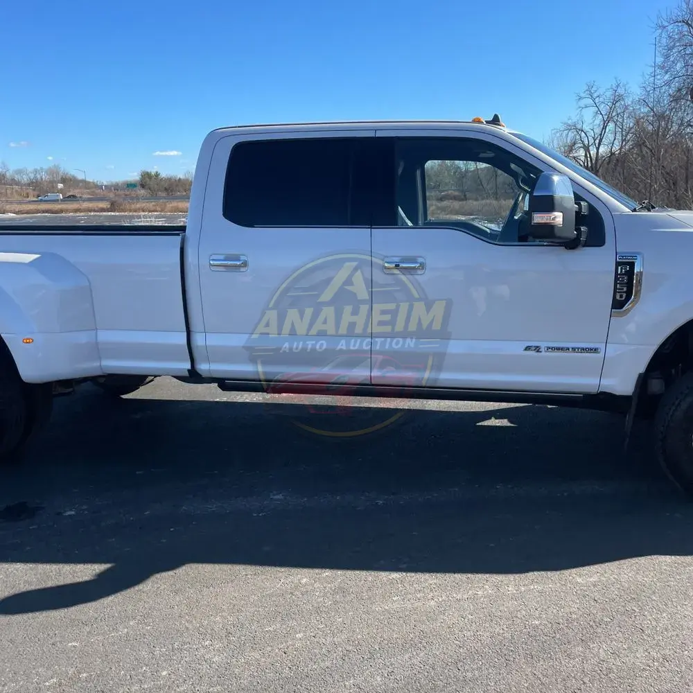 2019 Ford F350 S/D Platinum