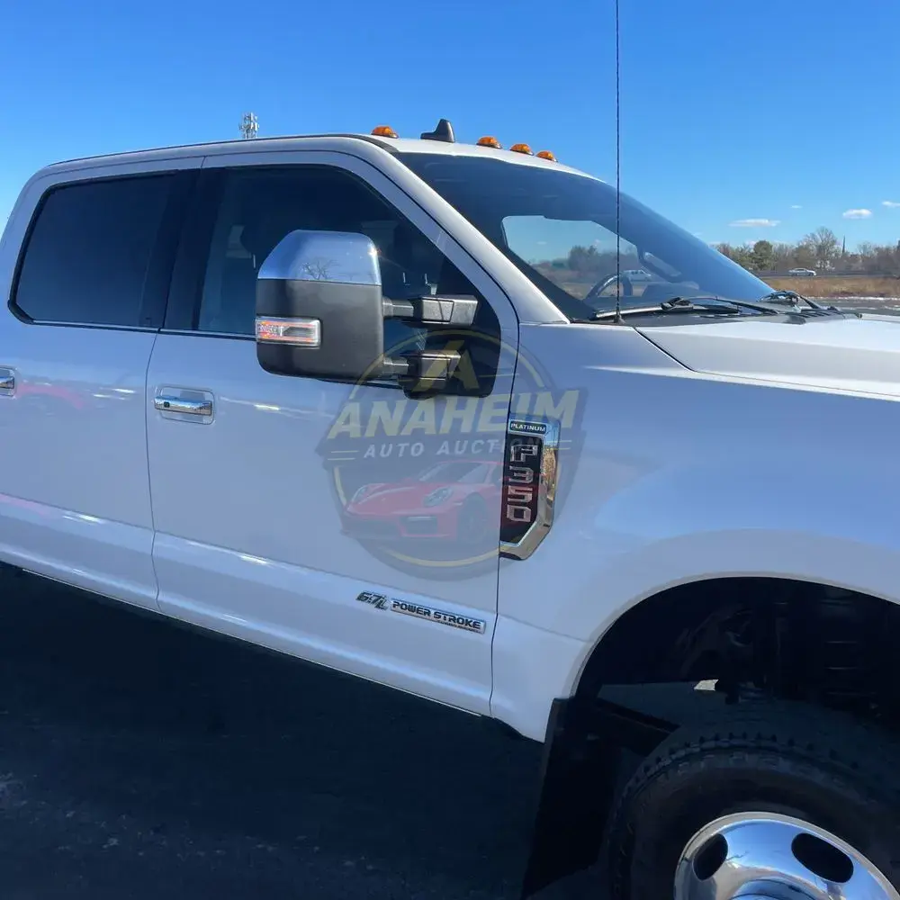 2019 Ford F350 S/D Platinum