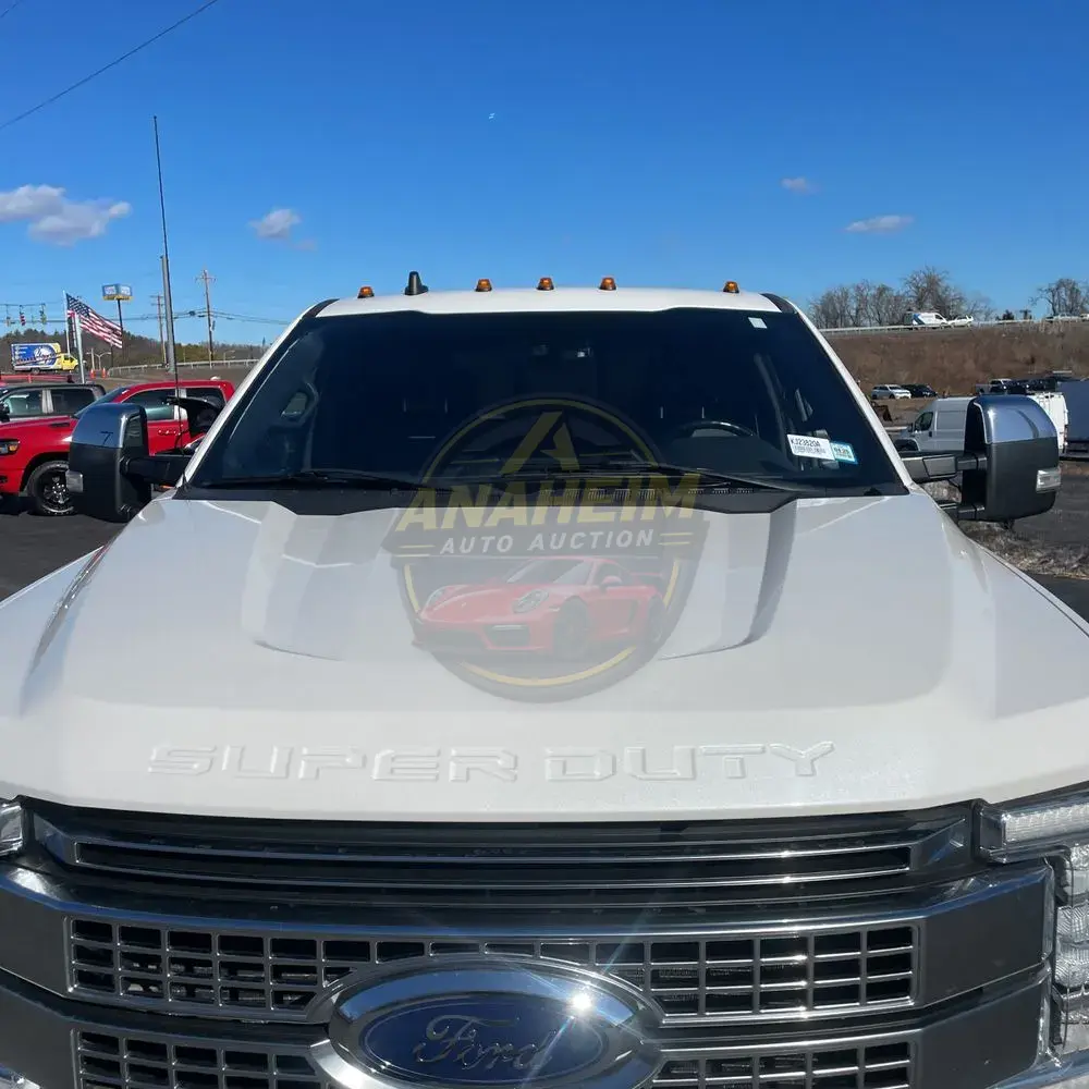 2019 Ford F350 S/D Platinum