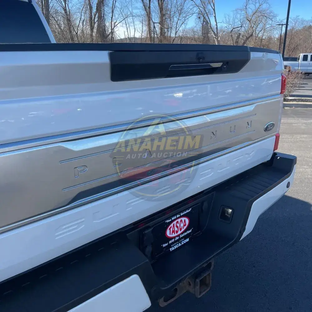 2019 Ford F350 S/D Platinum