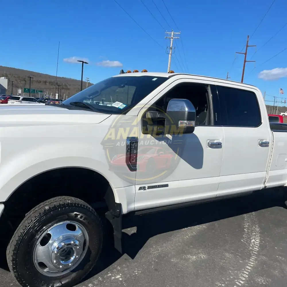 2019 Ford F350 S/D Platinum