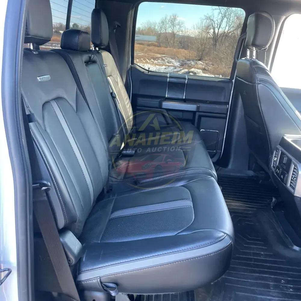 2019 Ford F350 S/D Platinum