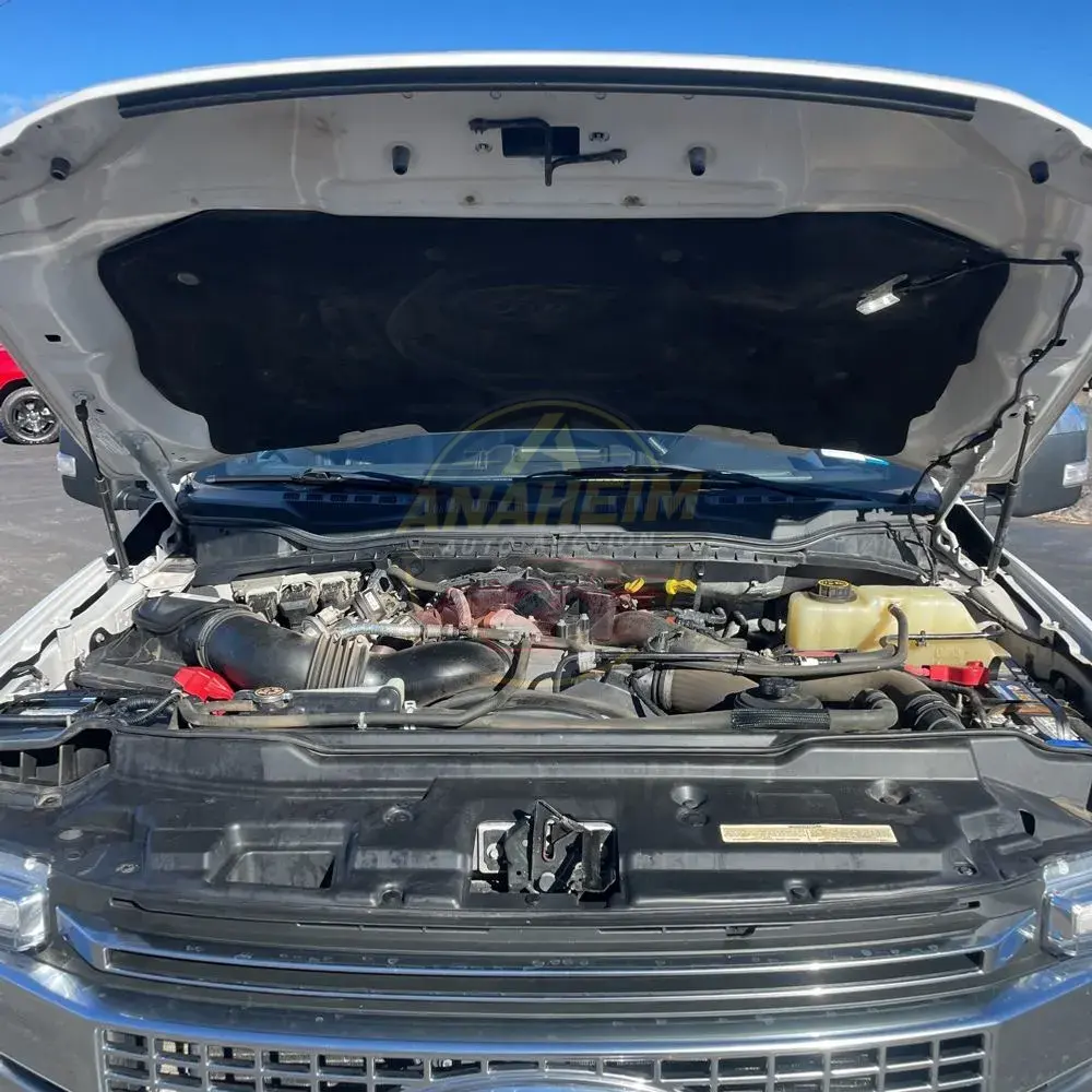 2019 Ford F350 S/D Platinum