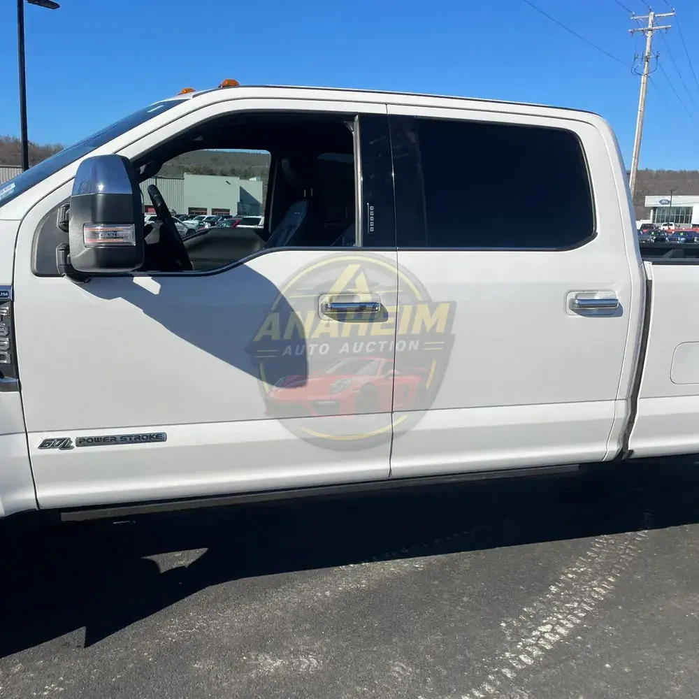 2019 Ford F350 S/D Platinum