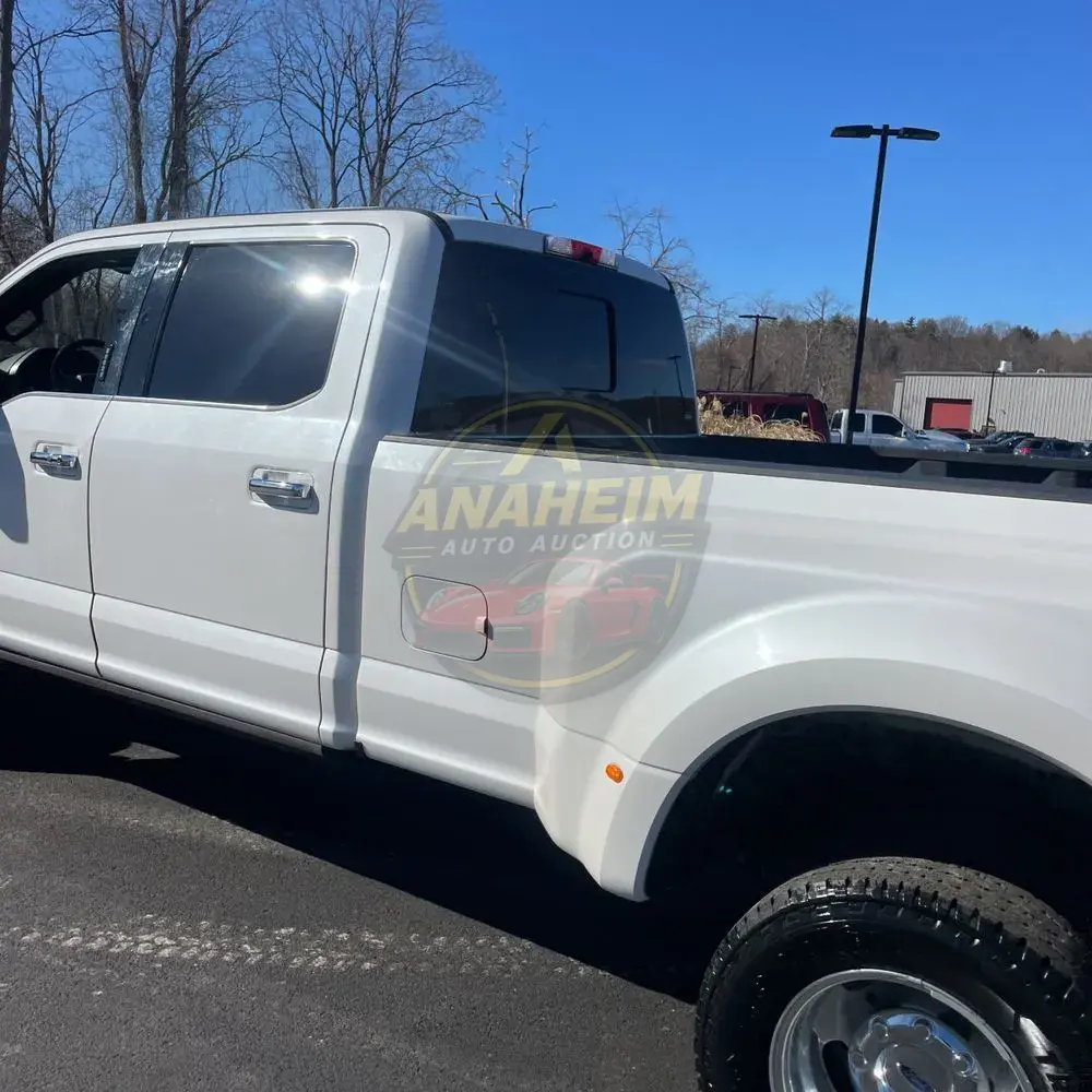 2019 Ford F350 S/D Platinum
