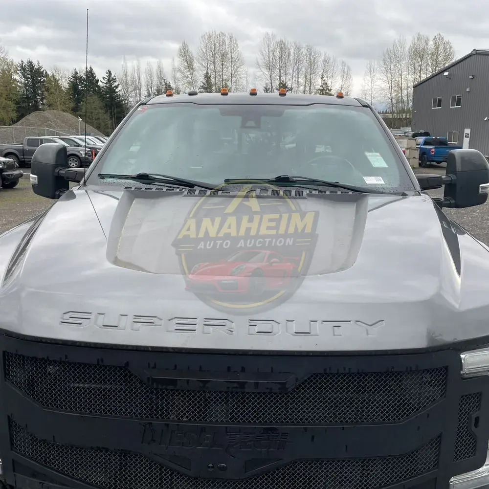 2017 Ford F350 S/D Platinum