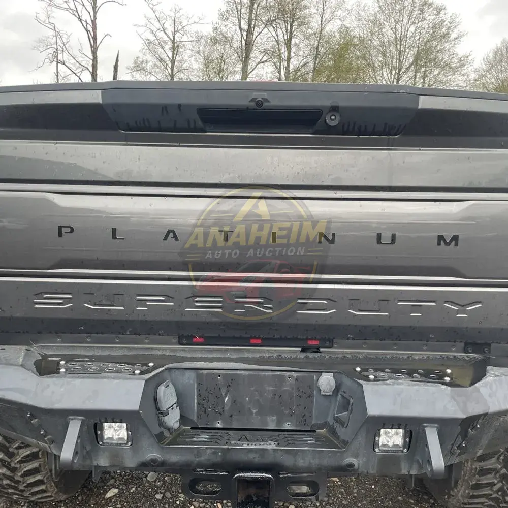 2017 Ford F350 S/D Platinum