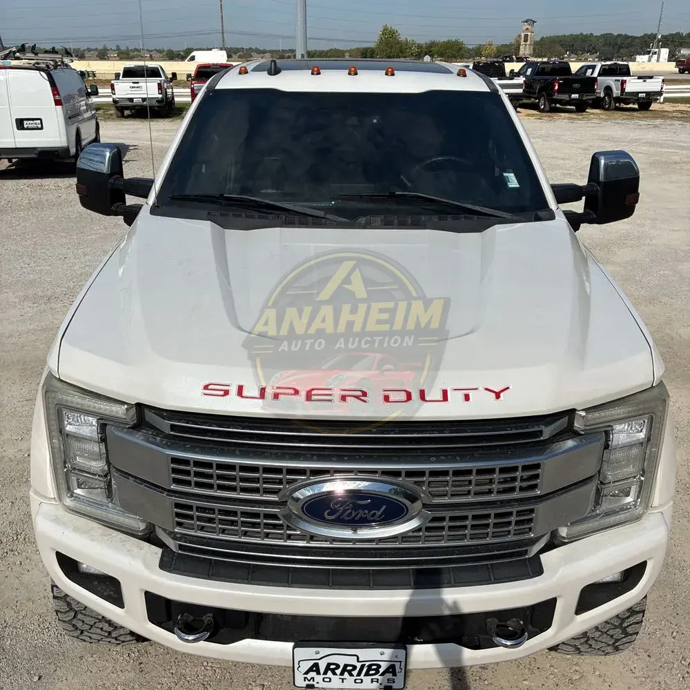 2019 Ford F-450 Super Duty Platinum