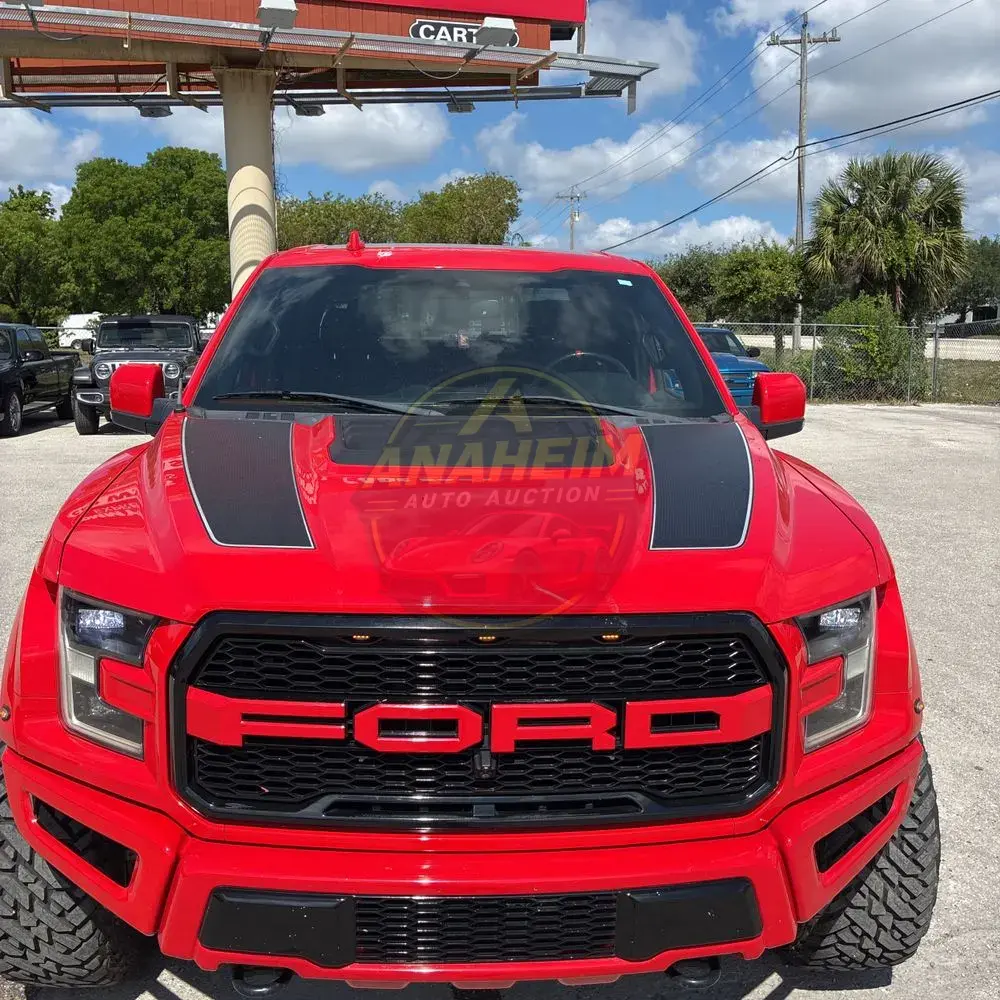 2019 Ford F-150 Raptor