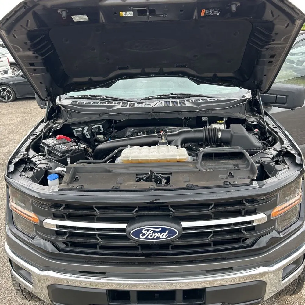 2024 Ford F150 XLT