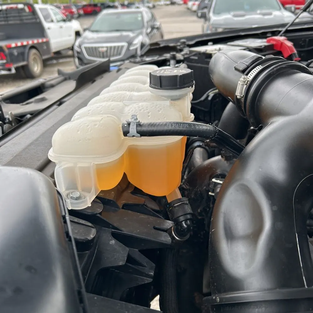 2024 Ford F150 XLT