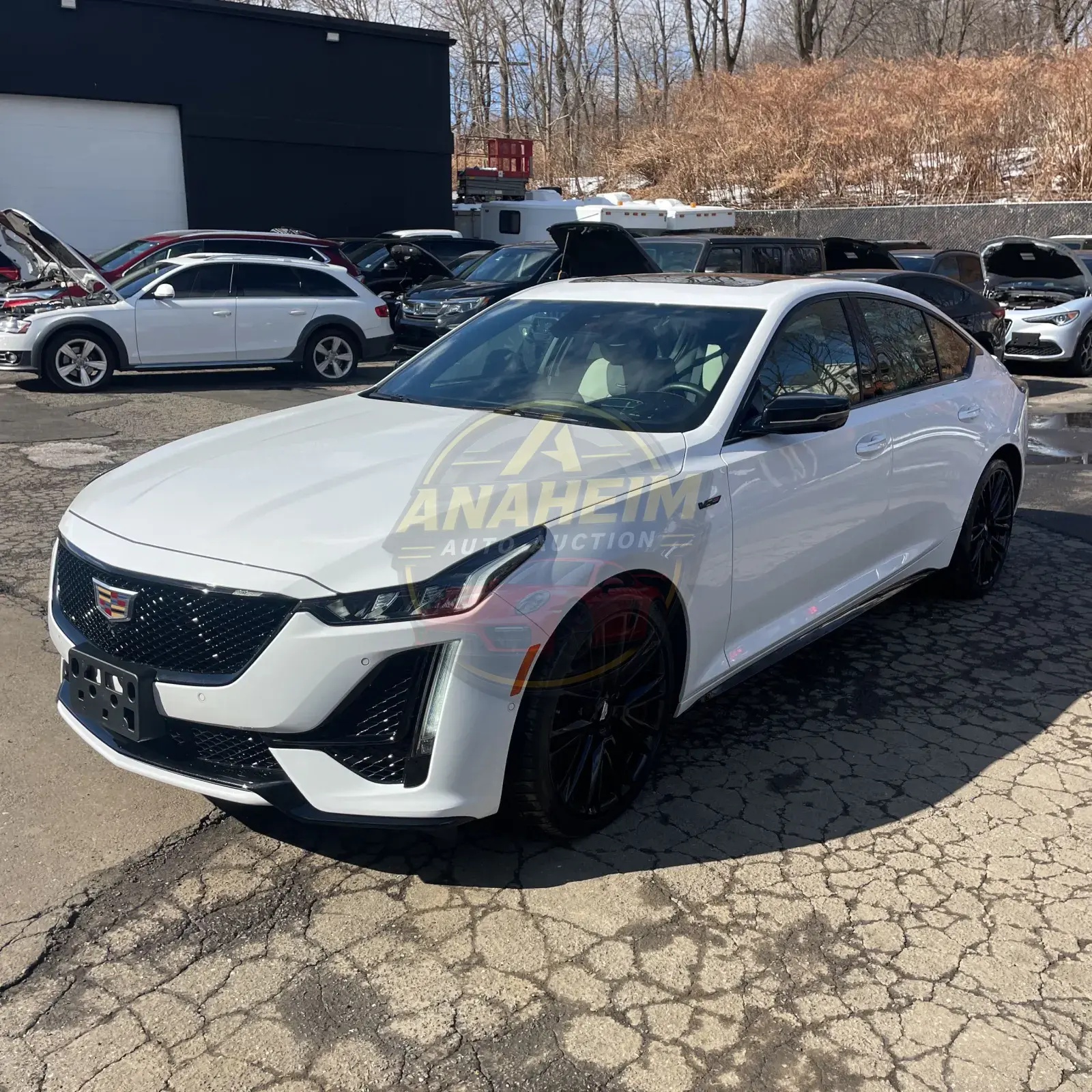 2024 Cadillac CT5-V Base