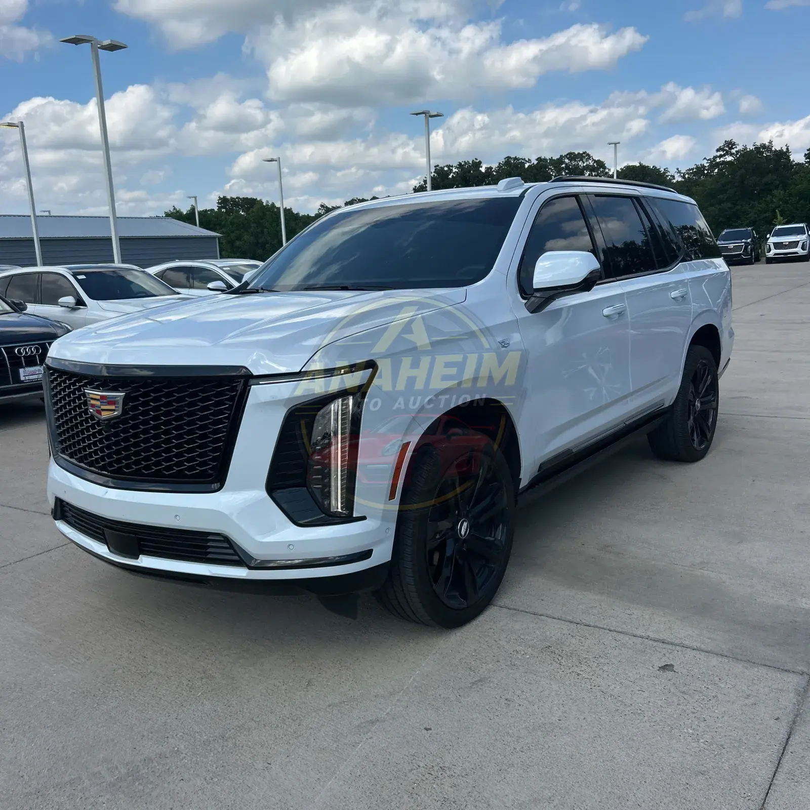 2026 Cadillac Escalade Sport