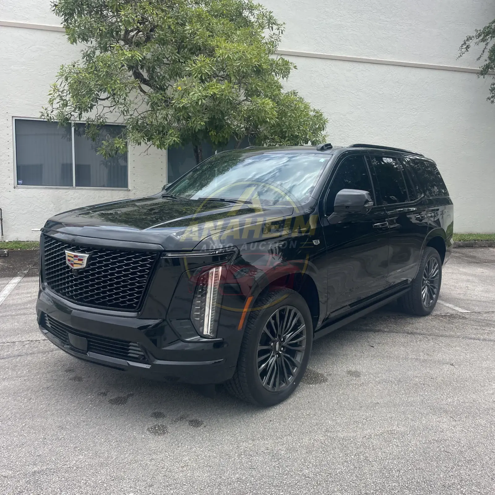 2025 Cadillac Escalade Sport Platinum