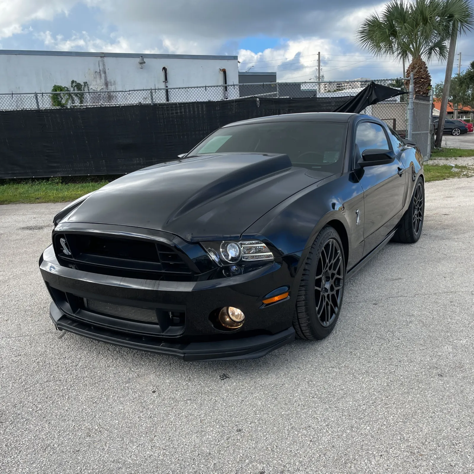 2013 Ford Shelby GT500 Base