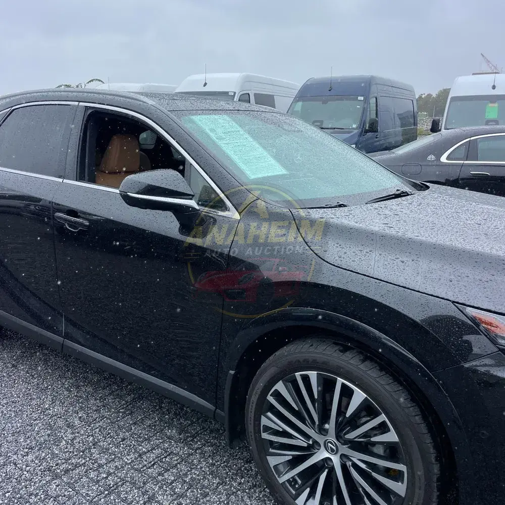 2024 Lexus RX 350h Premium+