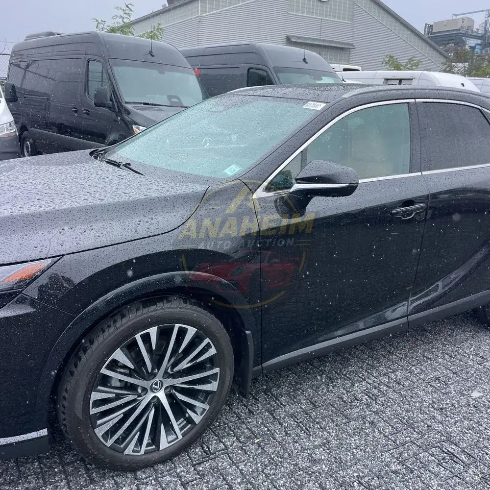 2024 Lexus RX 350h Premium+