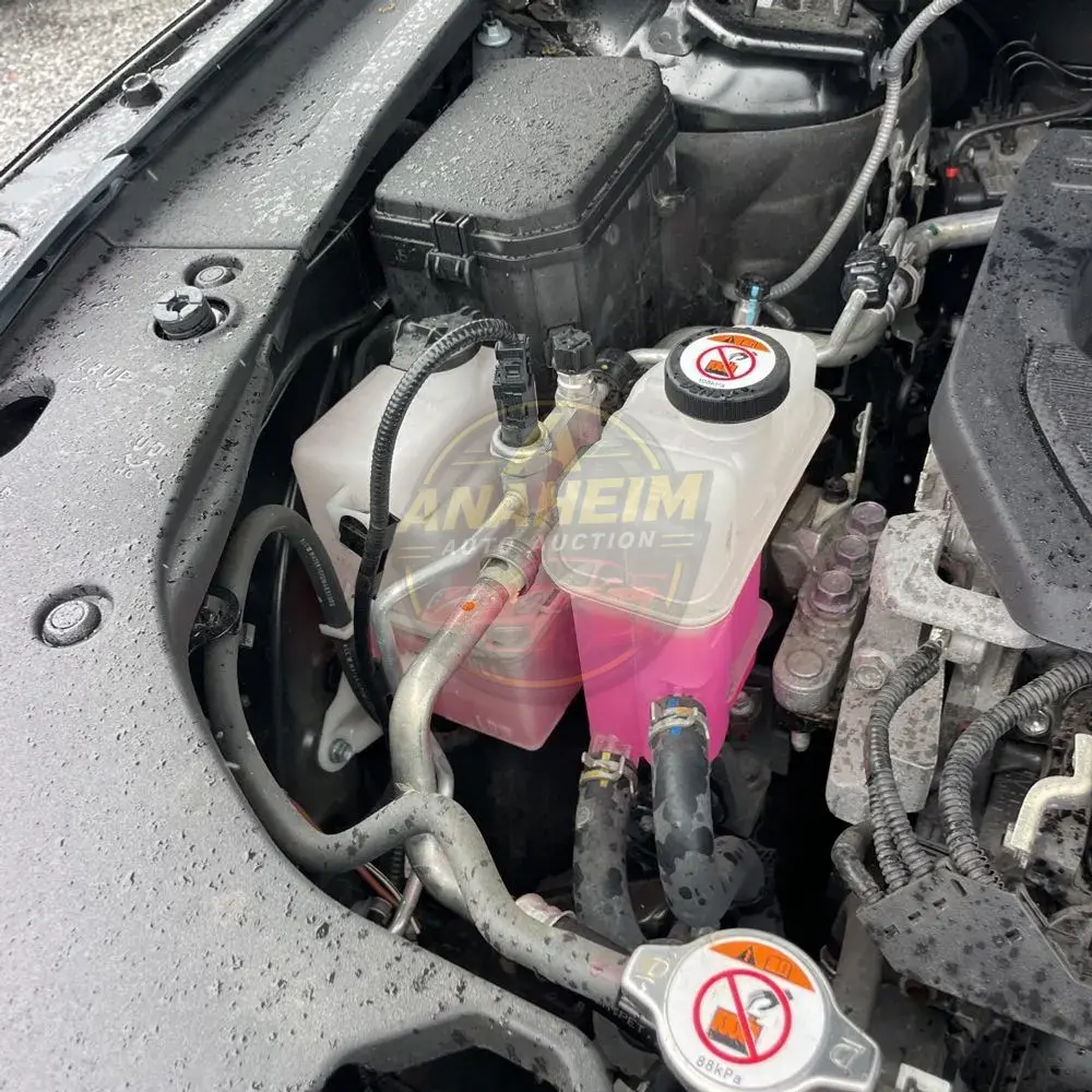 2024 Lexus RX 350h Premium+