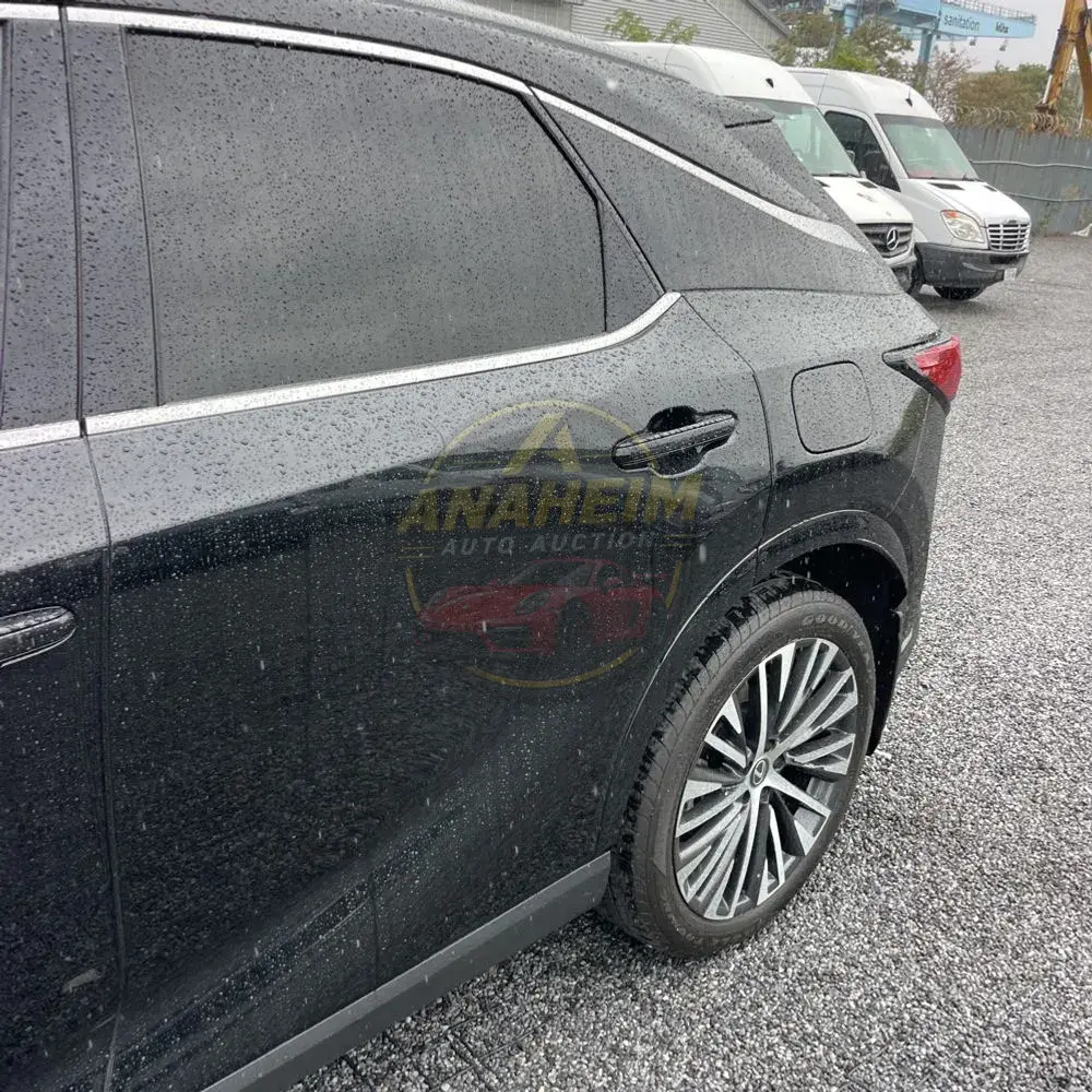 2024 Lexus RX 350h Premium+