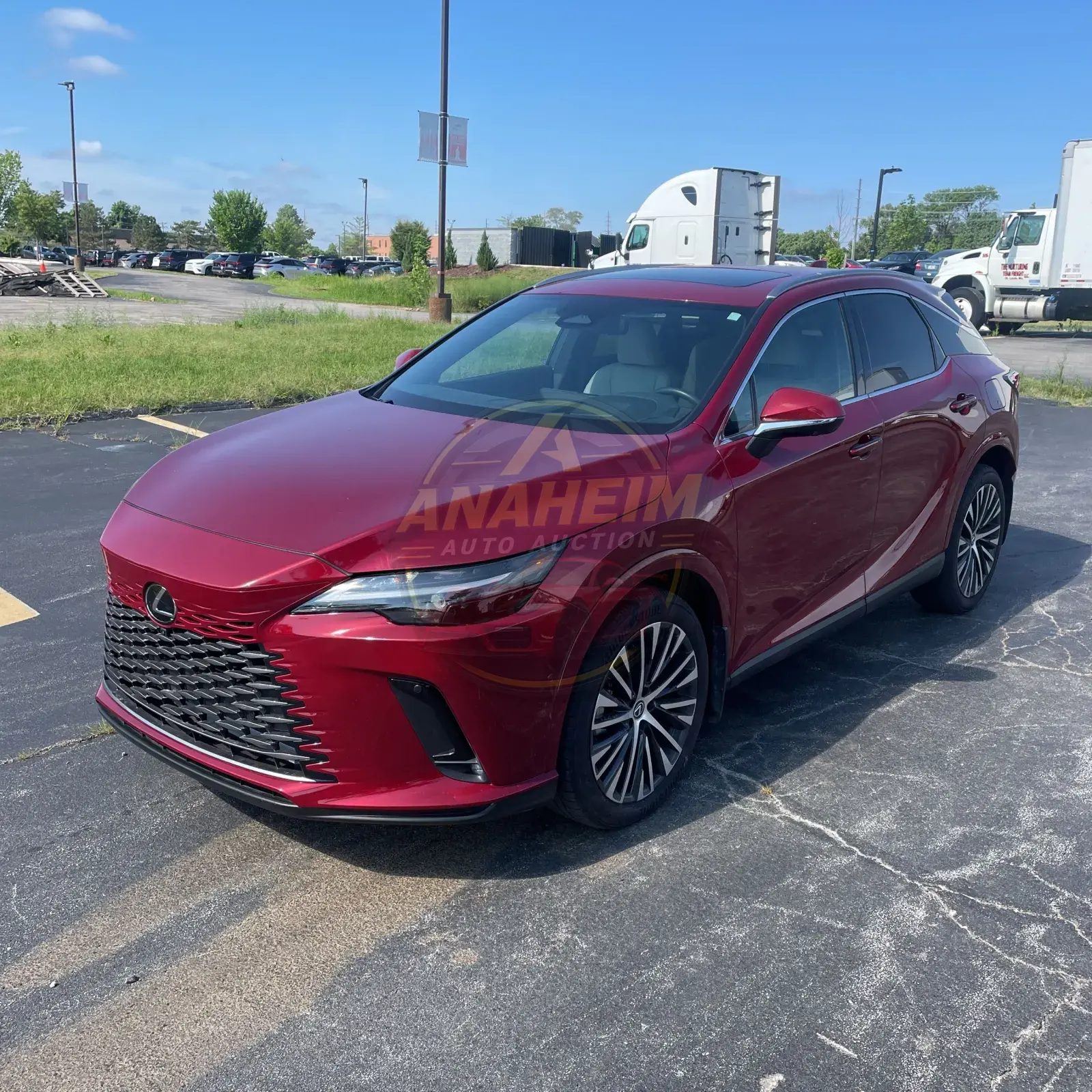 2024 Lexus RX 350h Premium+