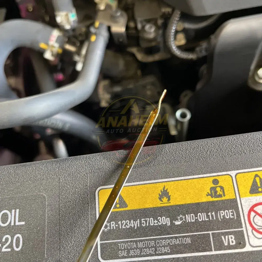 2024 Lexus RX 500h F SPORT Performance