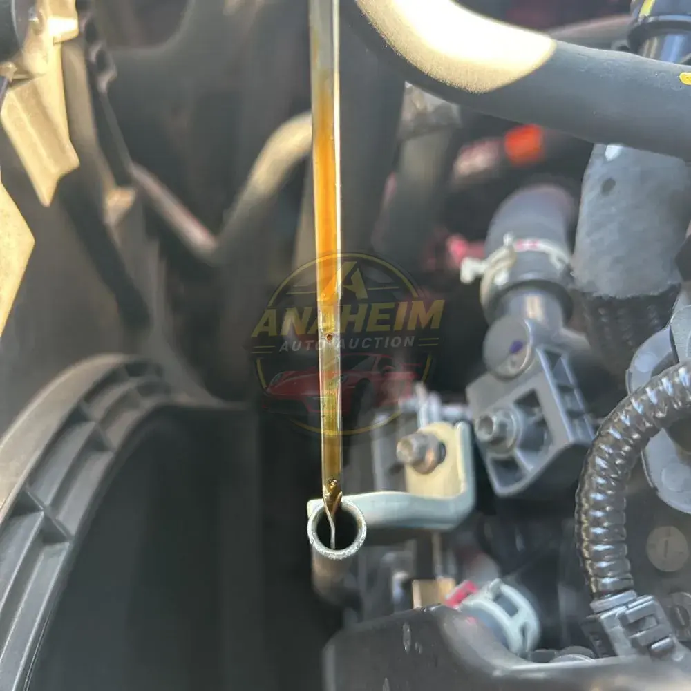 2024 Lexus RX 500h F SPORT Performance
